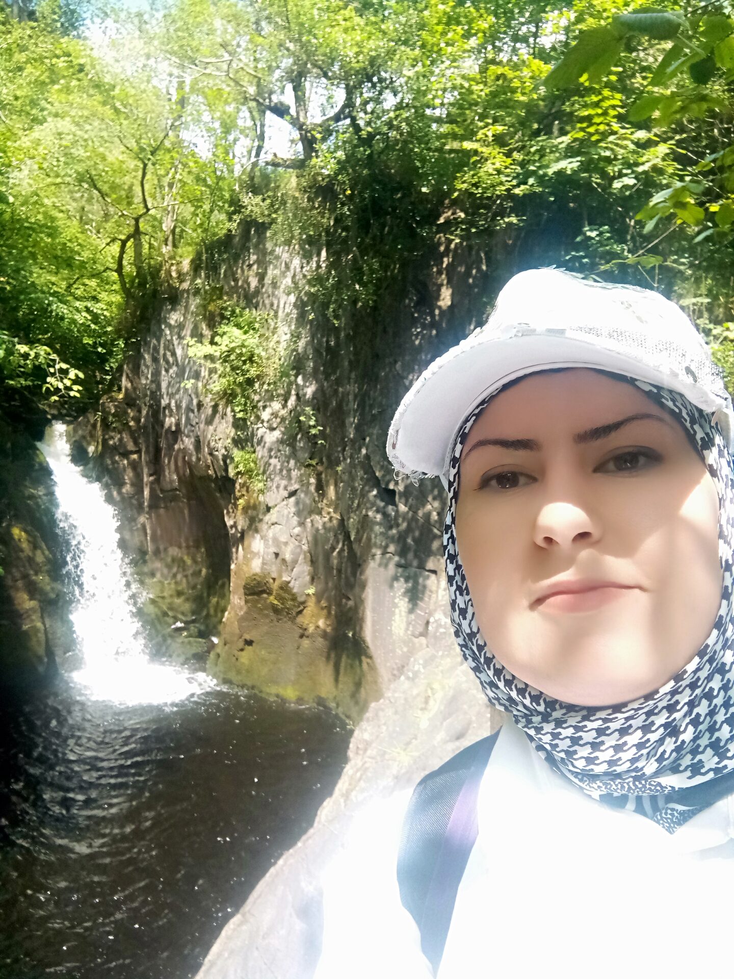 LIFD Early Career Researcher Spotlight: Hanan Aburema